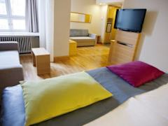 Zimmerbild 5
