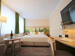 Zimmerbild 13