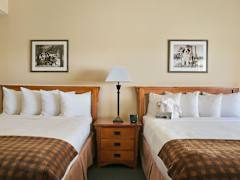 Zimmerbild 3