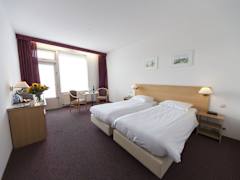 Zimmerbild 6