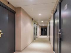 Zimmerbild 6