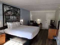 Zimmerbild 6