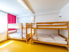 Zimmerbild 8