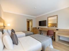Zimmerbild 0