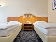 Zimmerbild 6