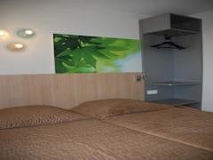 Zimmerbild 1