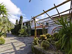 Zimmerbild 12