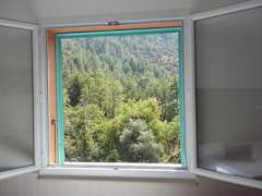 Zimmerbild 15