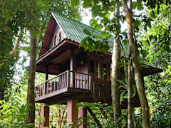 Zimmerbild 8
