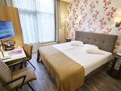 Zimmerbild 6