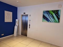 Zimmerbild 6