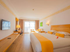 Zimmerbild 7