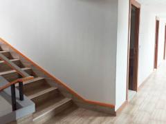 Zimmerbild 7