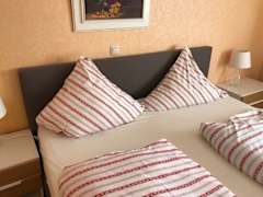 Zimmerbild 7