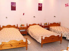 Zimmerbild 7