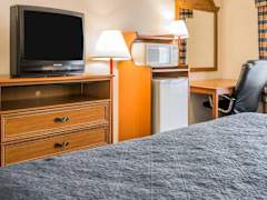Zimmerbild 6