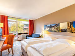 Zimmerbild 23