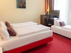 Zimmerbild 8