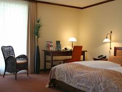 Zimmerbild 6