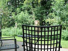 Zimmerbild 12