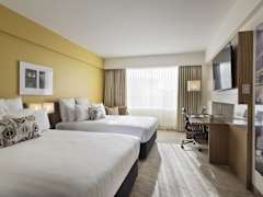 Zimmerbild 5
