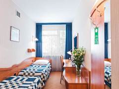 Zimmerbild 17