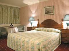 Zimmerbild 10