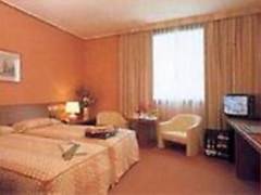 Zimmerbild 9
