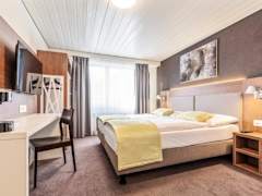 Zimmerbild 9