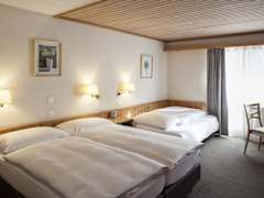 Zimmerbild 6