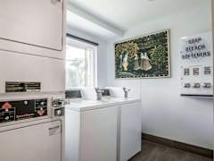 Zimmerbild 43