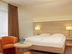 Zimmerbild 6