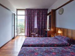 Zimmerbild 46