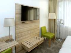 Zimmerbild 8