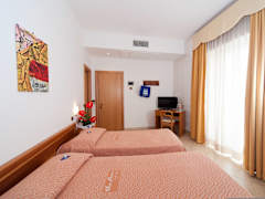 Zimmerbild 22
