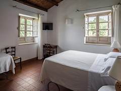 Zimmerbild 25