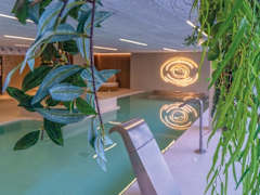 Zimmerbild 64