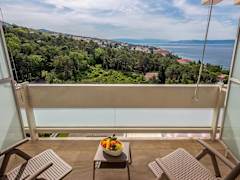 Zimmerbild 44