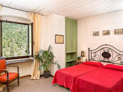 Zimmerbild 43