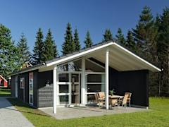 Zimmerbild 9