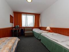 Zimmerbild 9