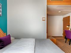 Zimmerbild 13