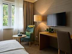 Zimmerbild 11