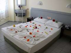 Zimmerbild 5
