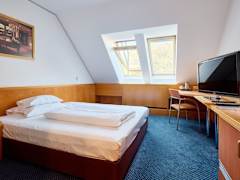 Zimmerbild 13