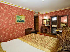 Zimmerbild 8