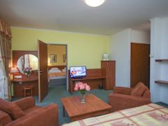 Zimmerbild 9