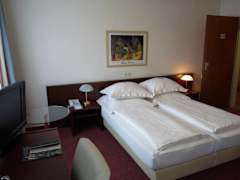 Zimmerbild 11