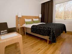 Zimmerbild 15