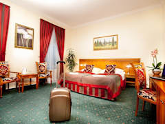 Zimmerbild 8